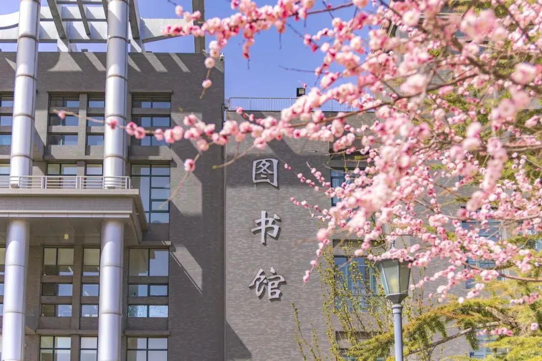 大发welcome(中国游)首页官网登录
