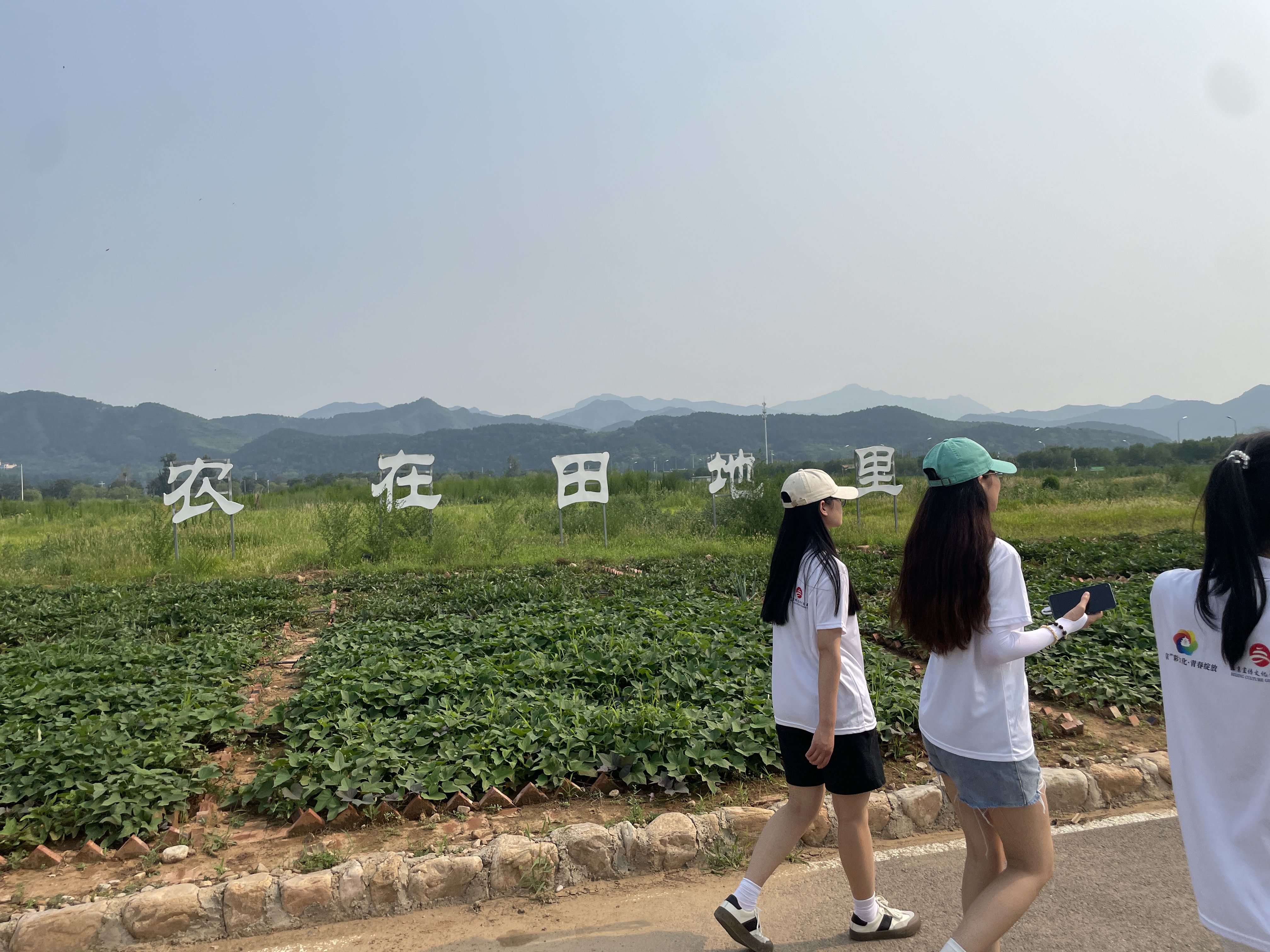 大发welcome(中国游)首页官网登录
