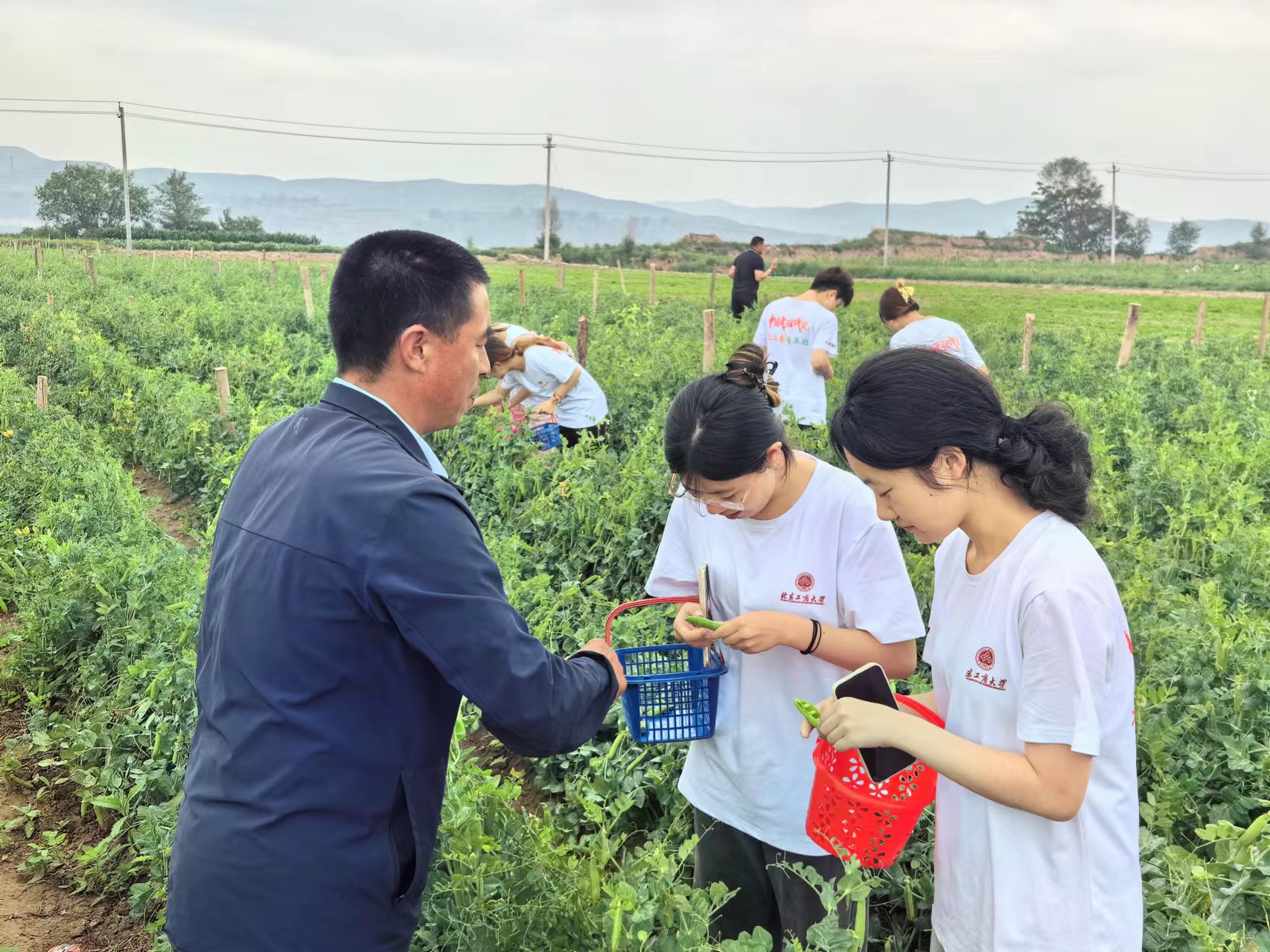 大发welcome(中国游)首页官网登录