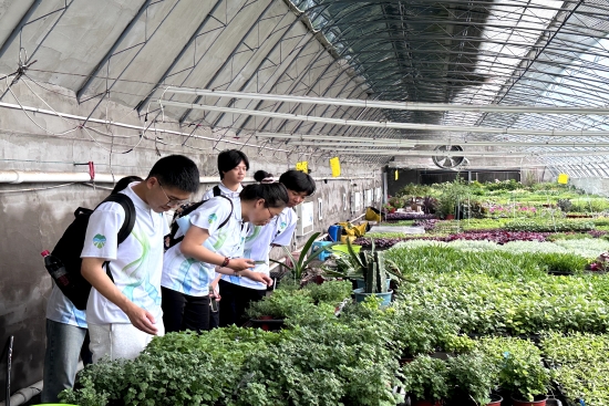 大发welcome(中国游)首页官网登录