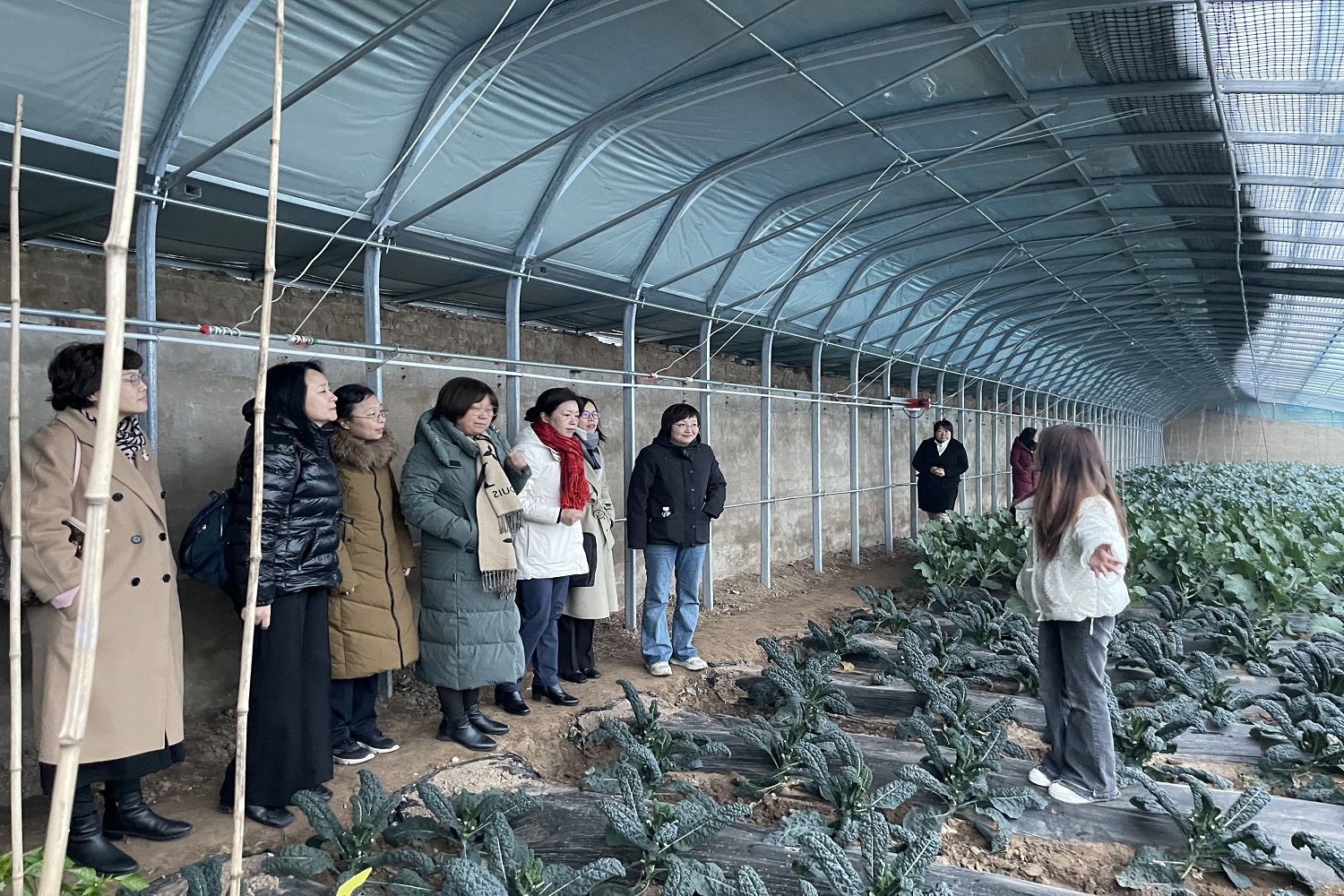 大发welcome(中国游)首页官网登录
